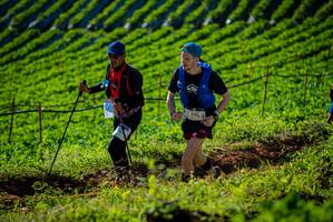 BIB: 1620
                            <button type="button" onclick="openModal(19160503)" class="btn btn-primary btn-sm float-right btn-popup" data-toggle="modal" data-target=".modal-high-quality">
                        <i class="fas fa-shopping-cart"></i> Add to Cart
                    </button>
                                            <button type="button" onclick="isThisMe(19160503, true)" class="btn btn-success btn-sm float-right btn-popup btn-isme hidden" data-toggle="tooltip" data-placement="bottom" title="นี่คือรูปของคุณใช่ไหม คลิกที่นี่เพื่อเอาเข้าอัลบั้ม">
                        <i class="fas fa-plus"></i> Add to album
                    </button>
                    <button type="button" onclick="isThisMe(19160503, false)" class="btn btn-warning btn-sm float-right btn-popup btn-isnotme hidden">
                        <i class="fas fa-ban"></i> Remove from album
                    </button>